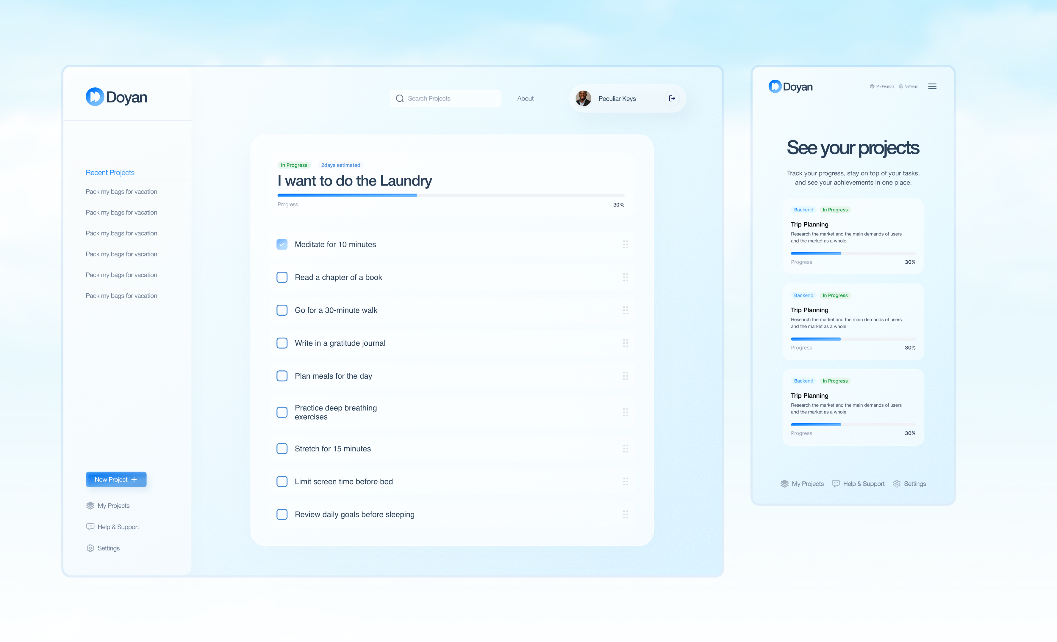 Doyan AI Project View 3